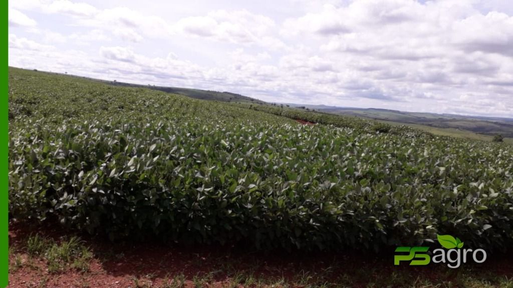 Fazenda à venda, 1376590000M2 - Foto 5