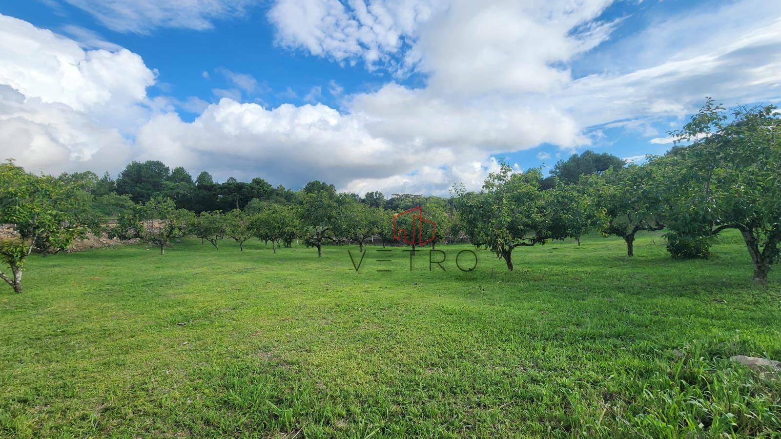 Loteamento e Condomínio à venda, 800M2 - Foto 2