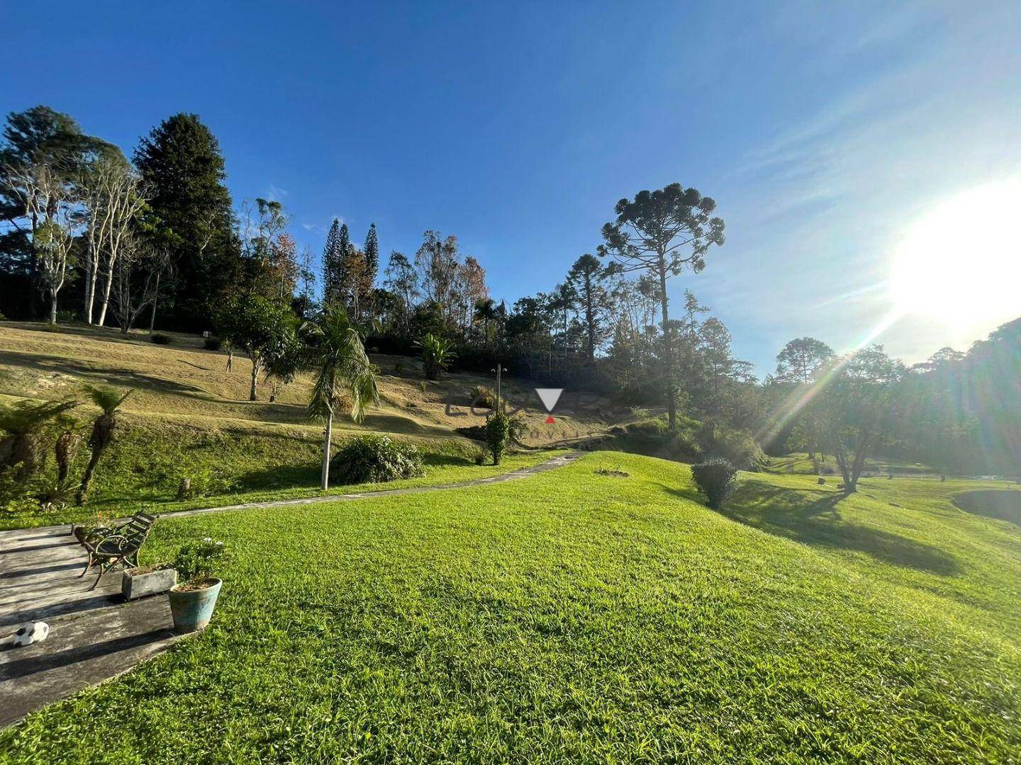 Sítio à venda com 3 quartos, 14000M2 - Foto 17
