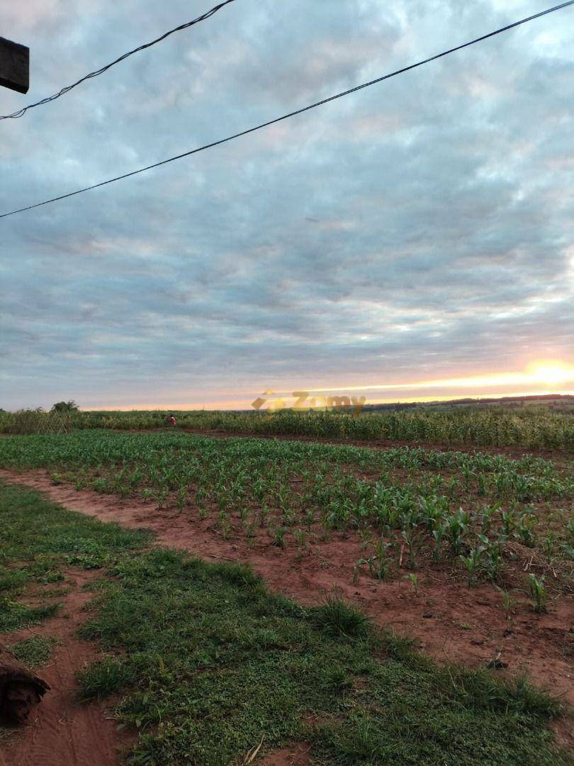 Chácara à venda com 2 quartos, 30000M2 - Foto 5
