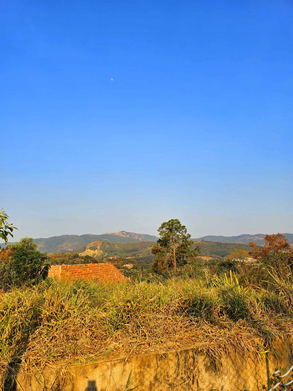 Terreno à venda, 1000m² - Foto 6