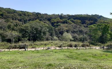 Fazenda à venda com 1 quarto, 240000m² - Foto 9