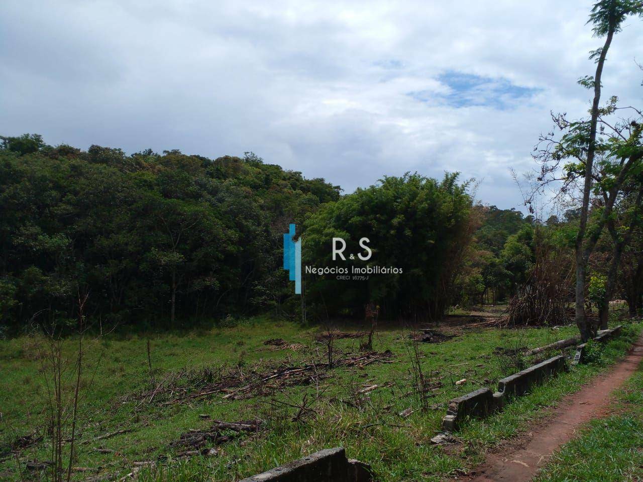 Terreno, 18 hectares - Foto 2