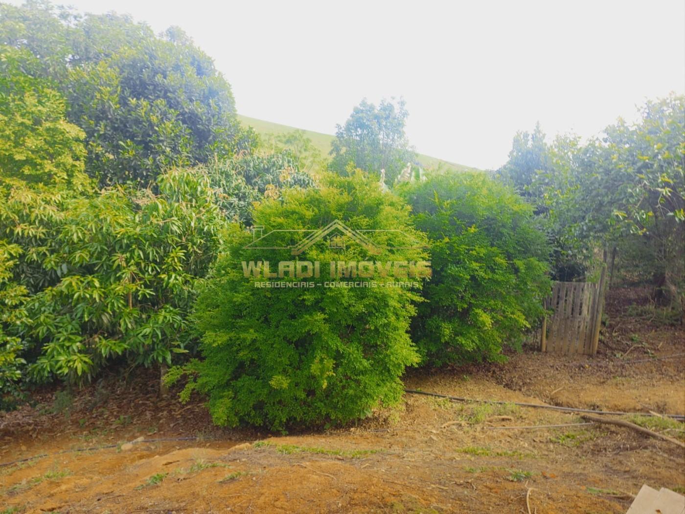 Chácara à venda, 12100m² - Foto 23