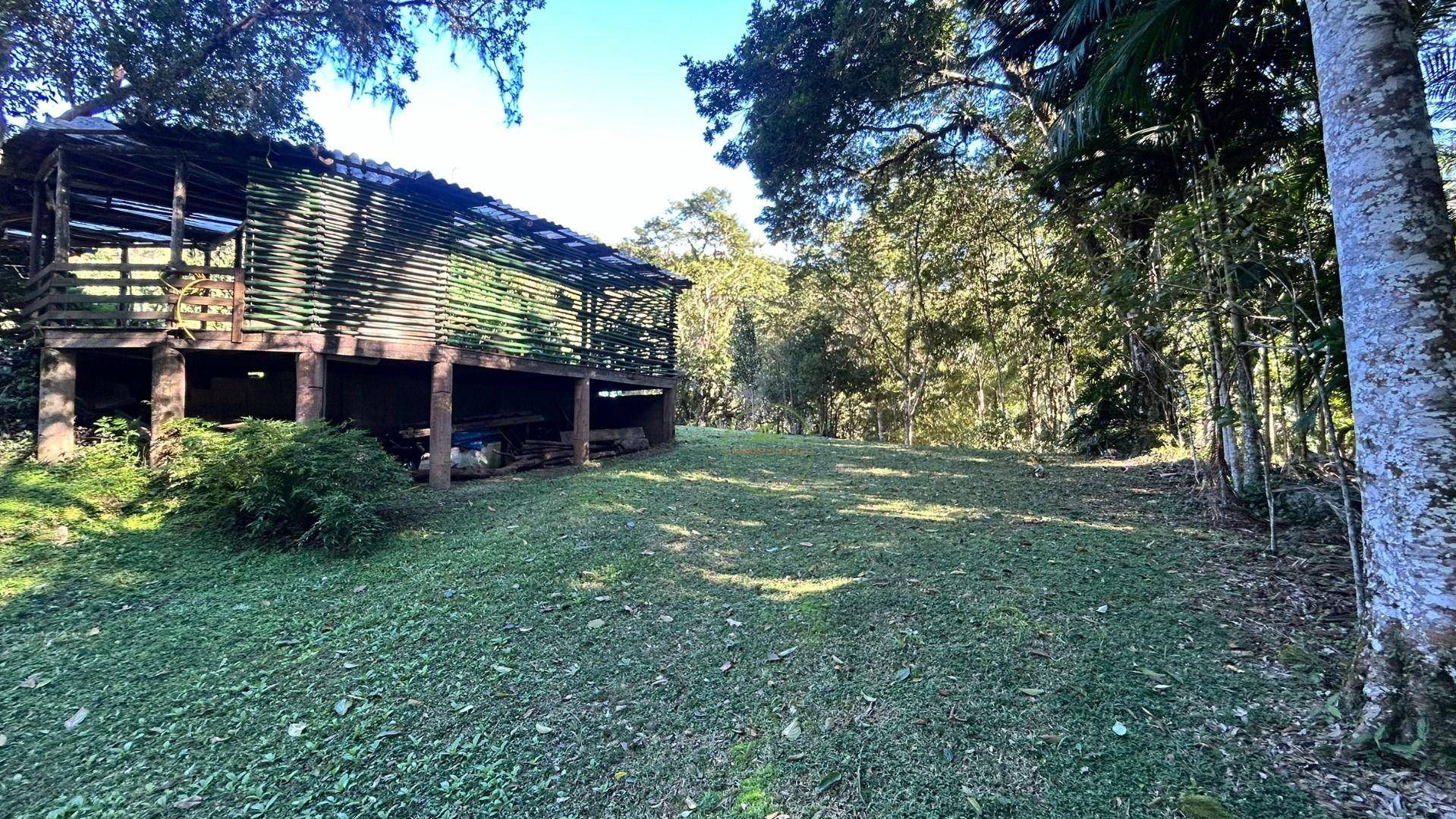 Sítio, 14 hectares - Foto 14