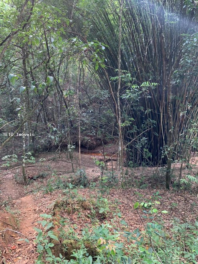 Terreno, 1142 m² - Foto 5