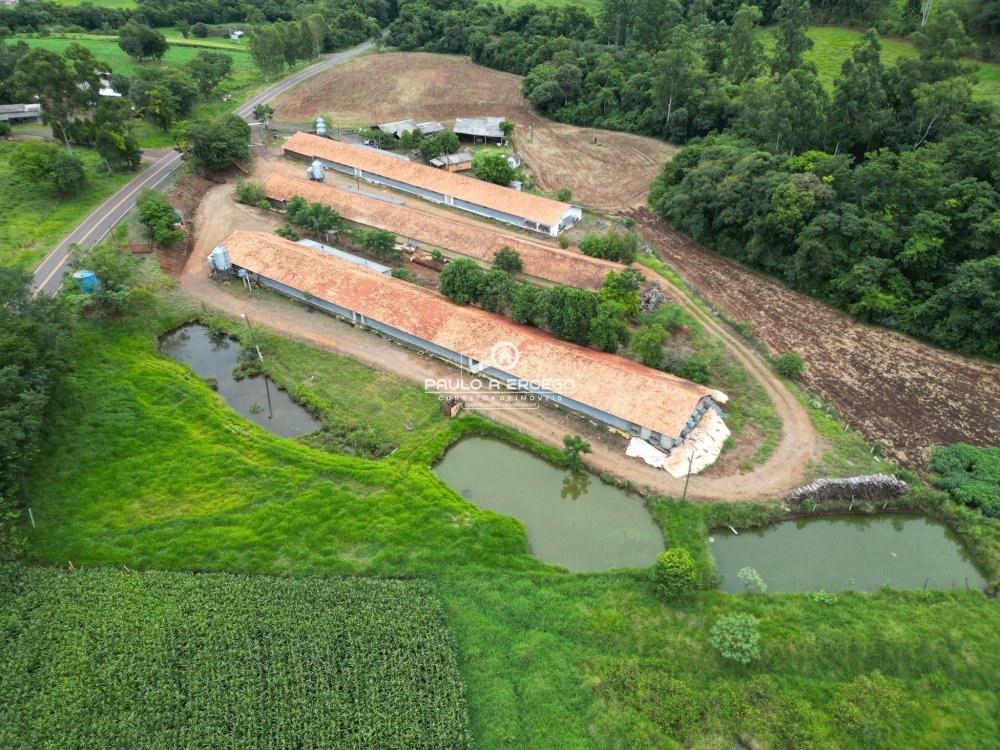 Sítio à venda, 36500m² - Foto 1