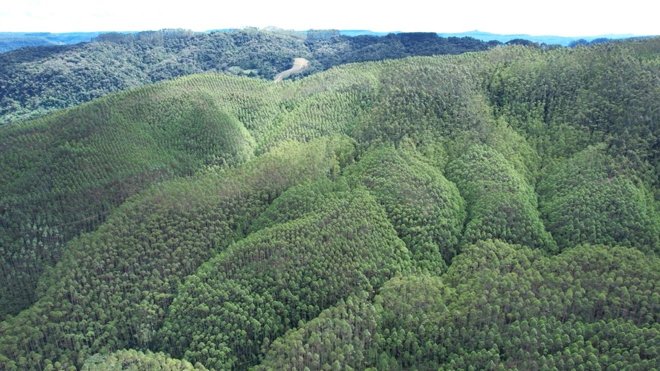 Fazenda à venda, 1564600m² - Foto 18