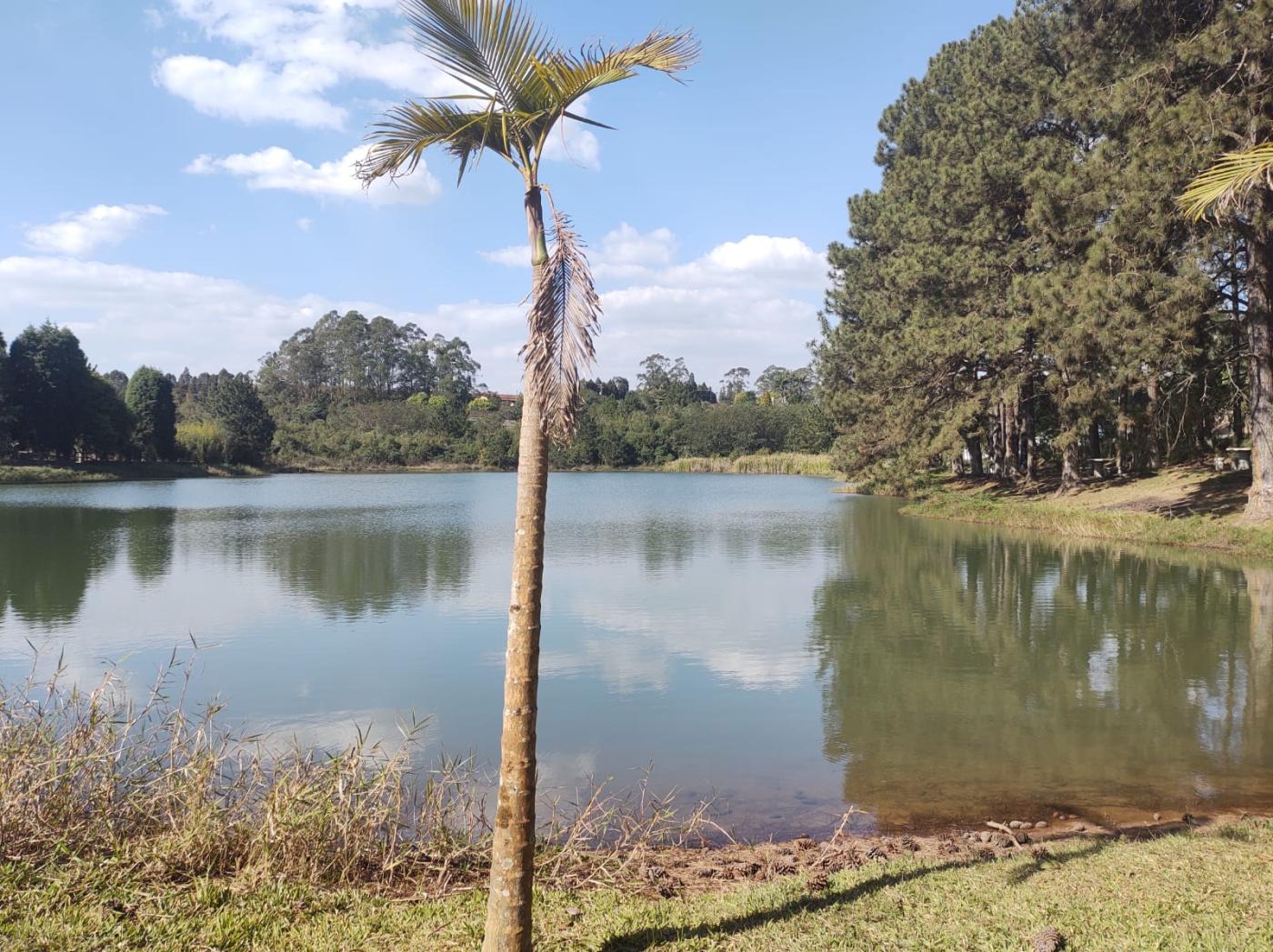 Fazenda à venda com 5 quartos, 3000m² - Foto 17