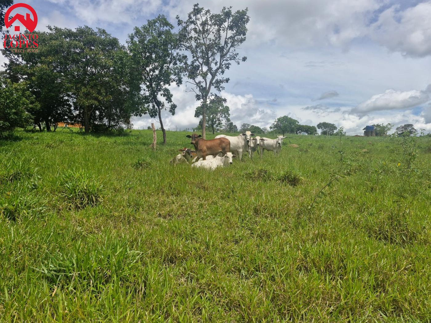 Fazenda à venda com 2 quartos, 120m² - Foto 43