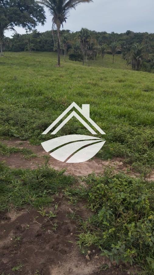Fazenda à venda, 1m² - Foto 17