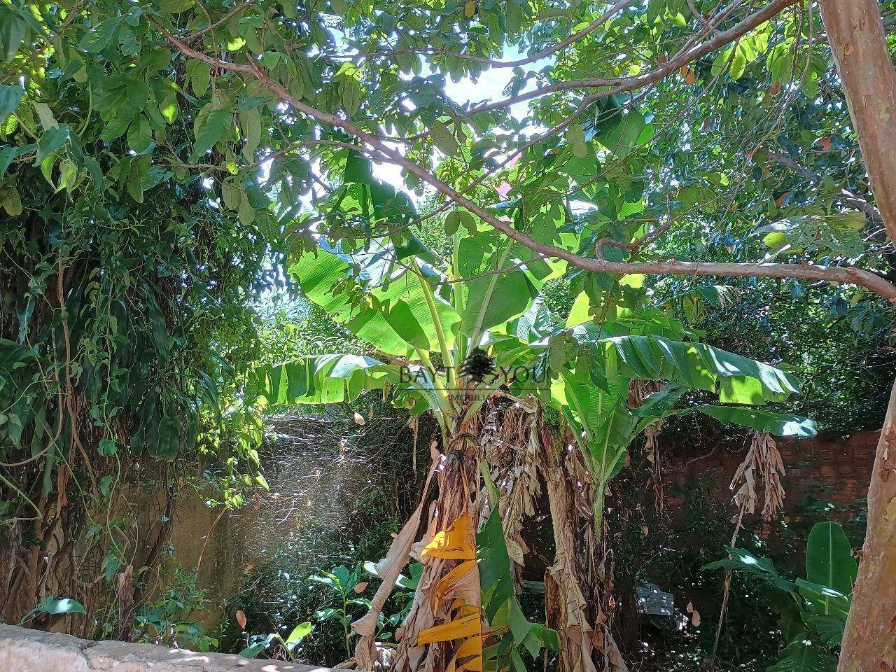 Terreno à venda, 300M2 - Foto 16