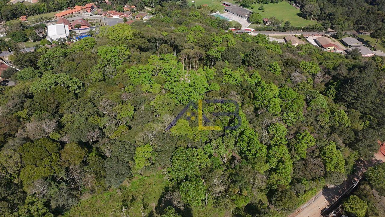 Terreno, 4019 m² - Foto 2