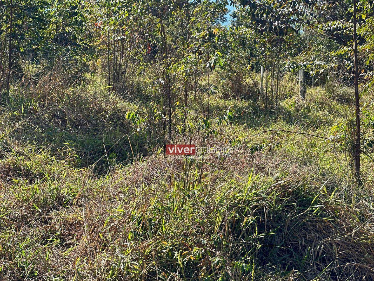 Terreno à venda, 20000M2 - Foto 10