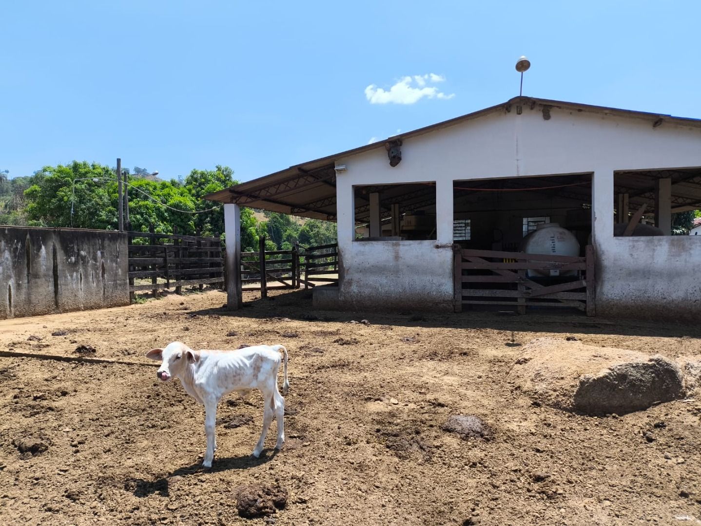 Sítio à venda com 8 quartos, 186000M2 - Foto 13