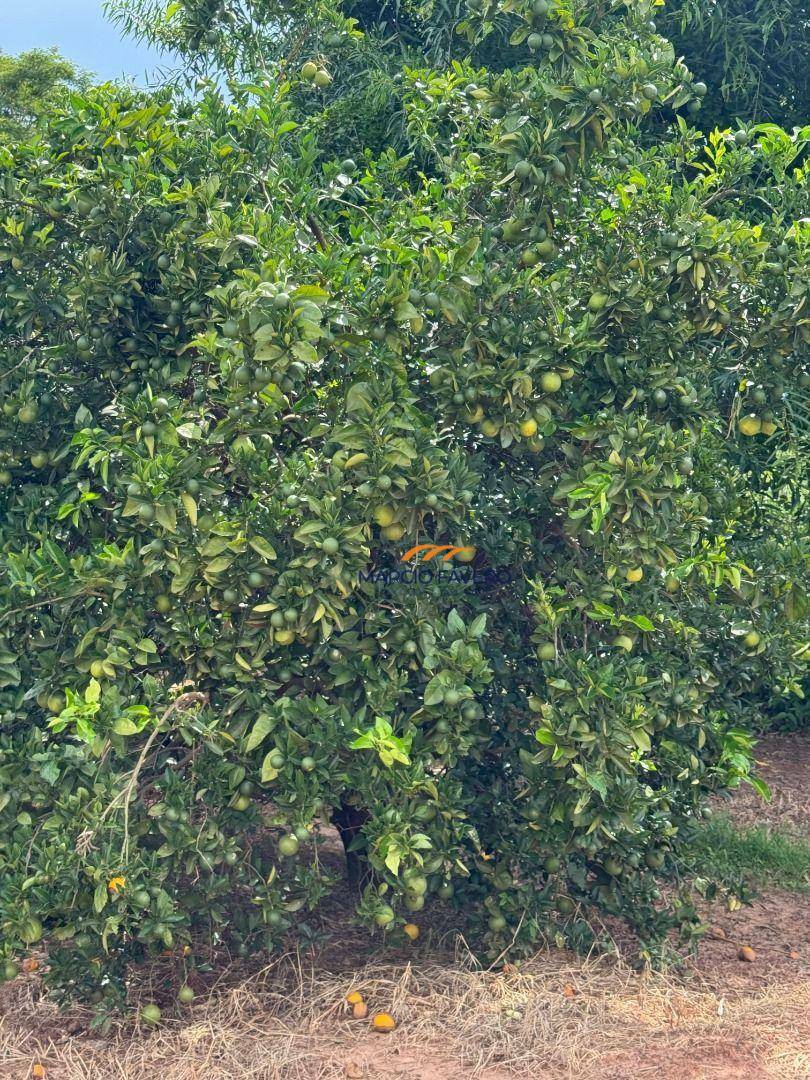 Fazenda à venda, 9776800M2 - Foto 4