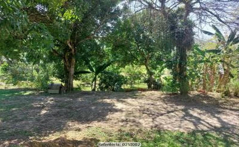 Chácara à venda com 3 quartos, 10000m² - Foto 11