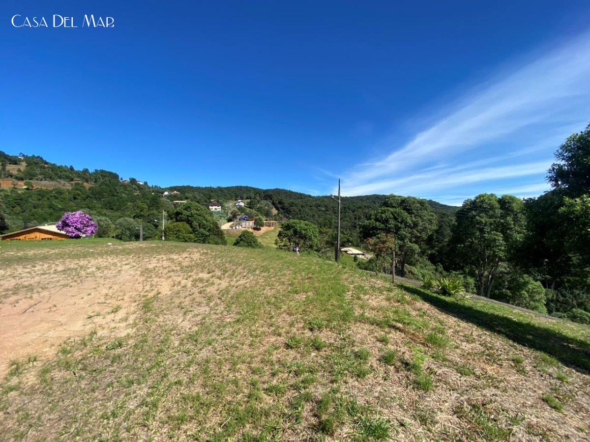 Terreno à venda, 1636m² - Foto 2