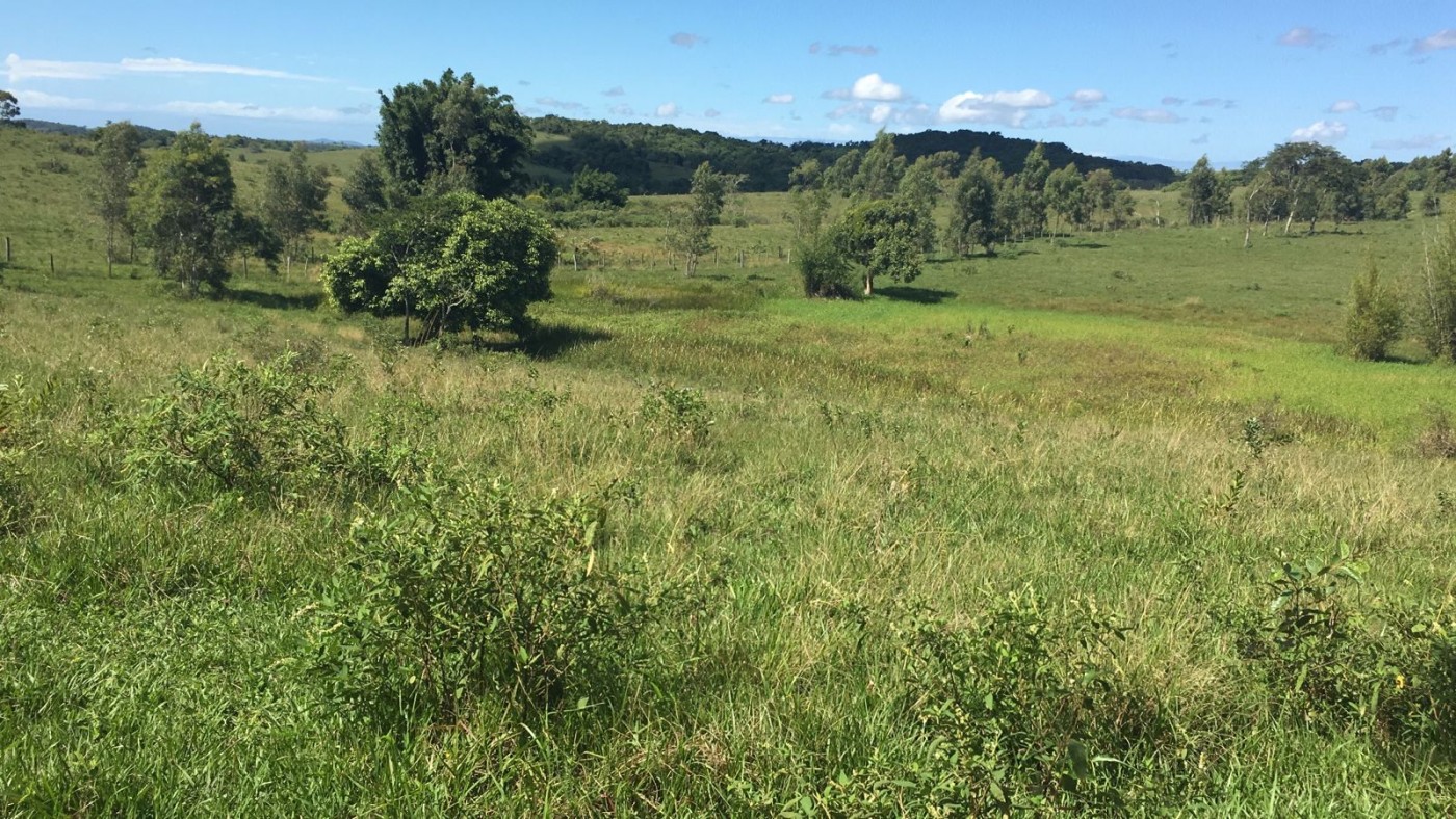 Fazenda à venda, 48400m² - Foto 1