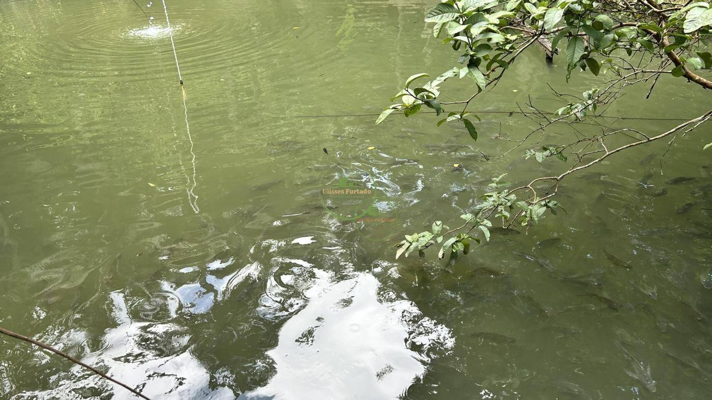 Sítio, 218 m² - Foto 33