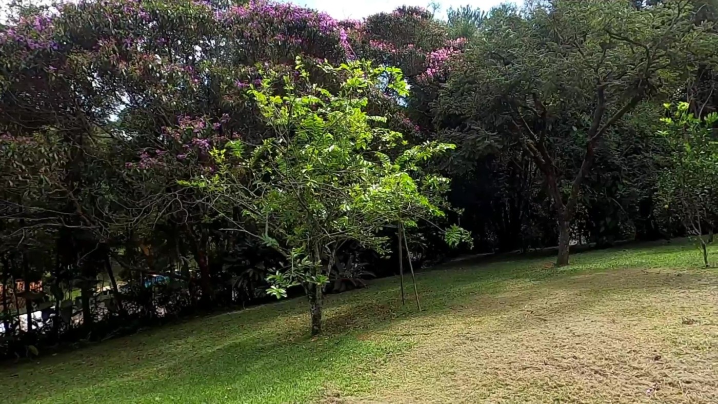 Casa de Condomínio à venda com 4 quartos, 9000m² - Foto 37
