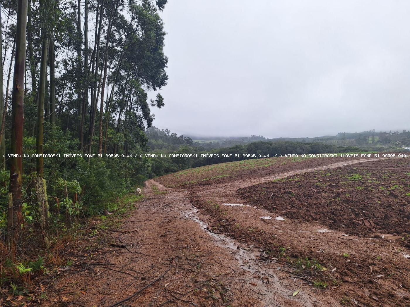 Sítio à venda com 2 quartos, 141000m² - Foto 37