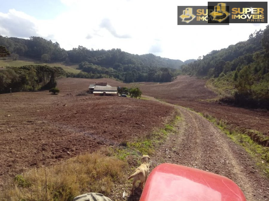 Fazenda à venda com 2 quartos, 450000m² - Foto 10