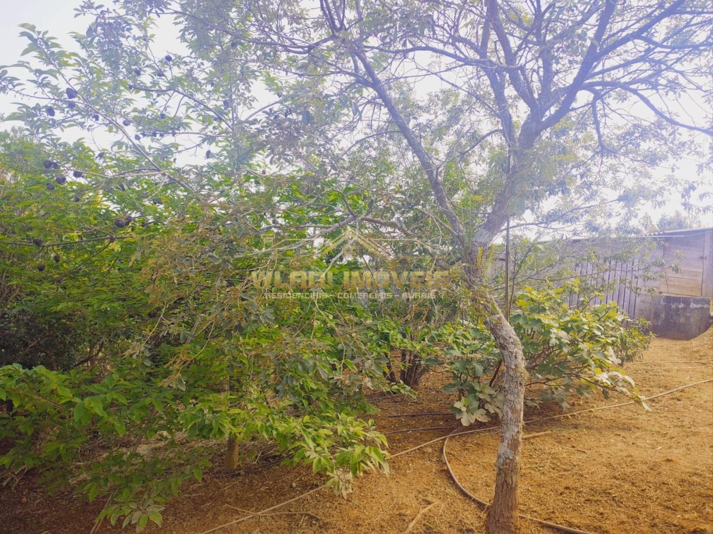 Chácara à venda, 12100m² - Foto 17
