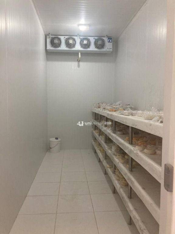 Fazenda à venda com 5 quartos, 383100M2 - Foto 29
