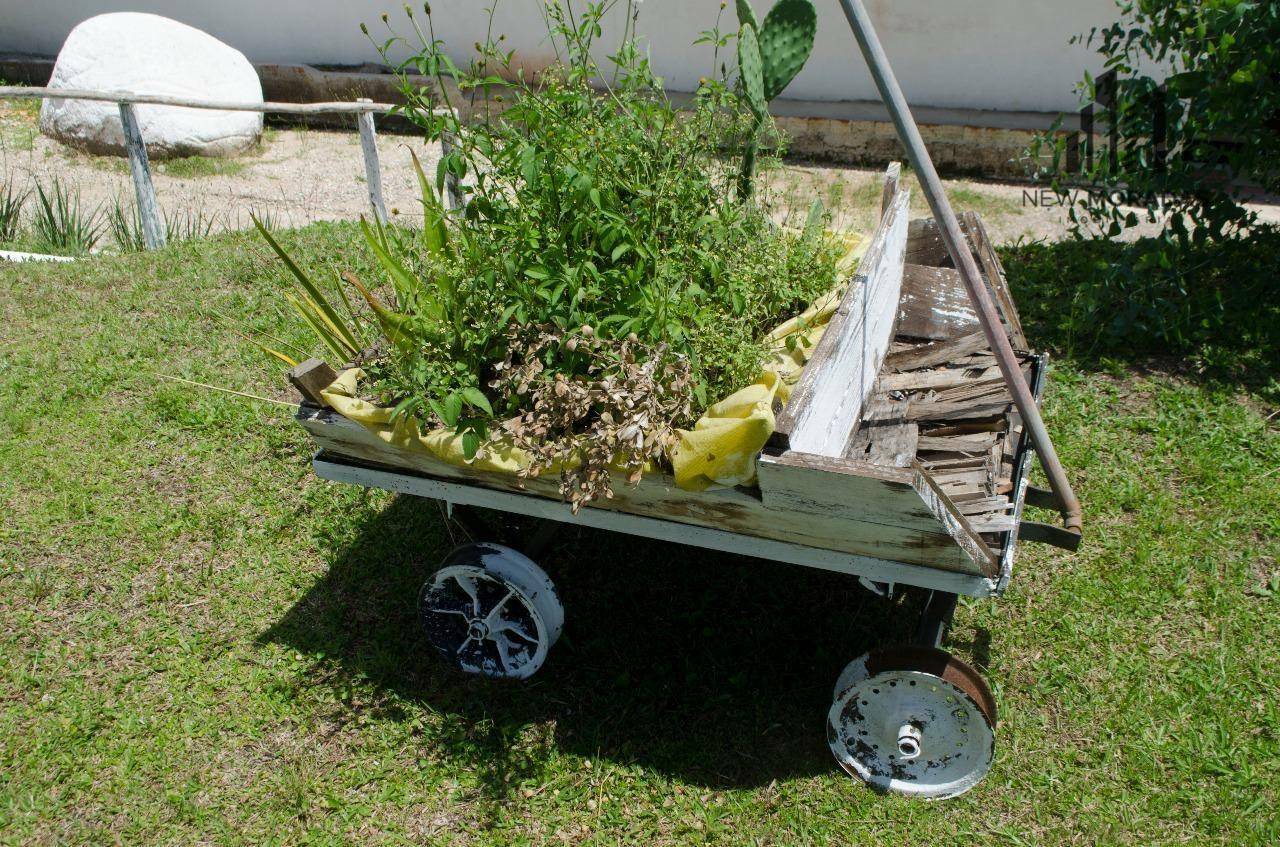 Chácara, 2 hectares - Foto 5