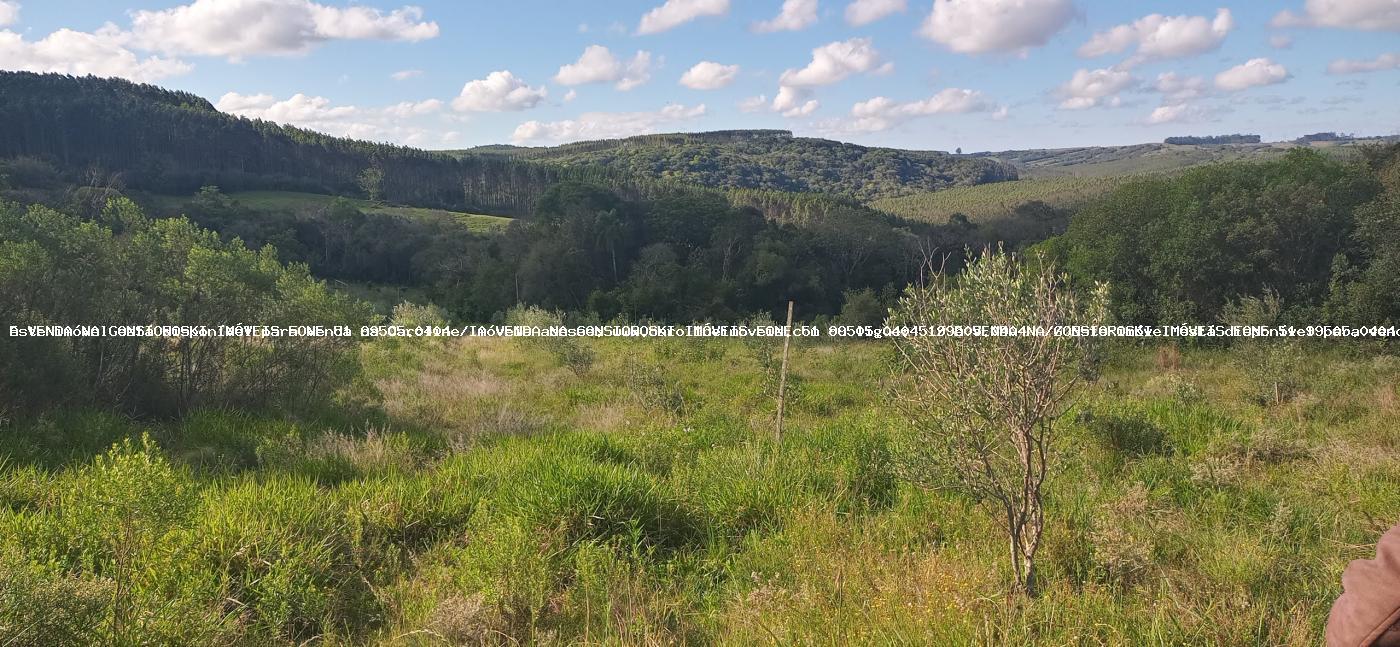 Fazenda à venda com 3 quartos, 191120m² - Foto 18