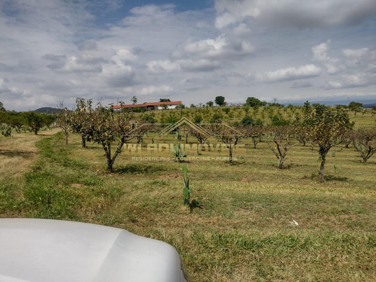 Fazenda à venda, 5m² - Foto 19