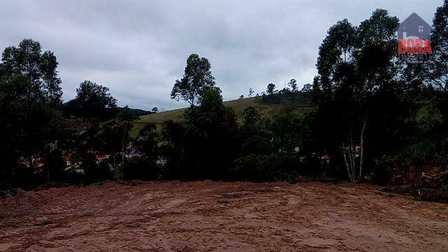 Terreno à venda, 1250M2 - Foto 2