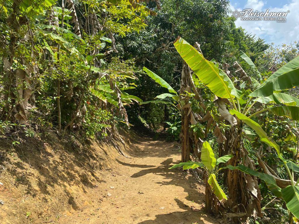 Chácara à venda com 3 quartos, 12974M2 - Foto 22