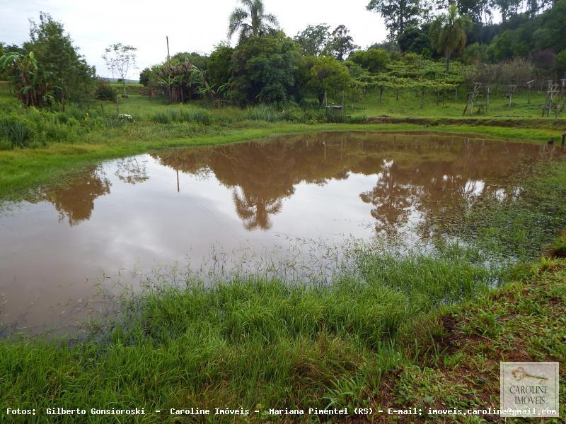 Fazenda à venda com 3 quartos, 60000m² - Foto 2