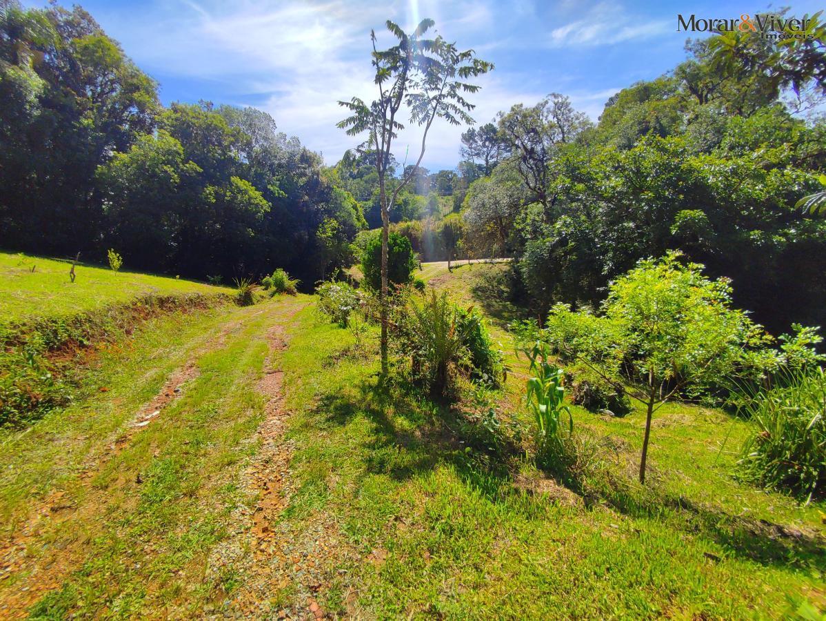 Chácara, 2 quartos, 7724 m² - Foto 12