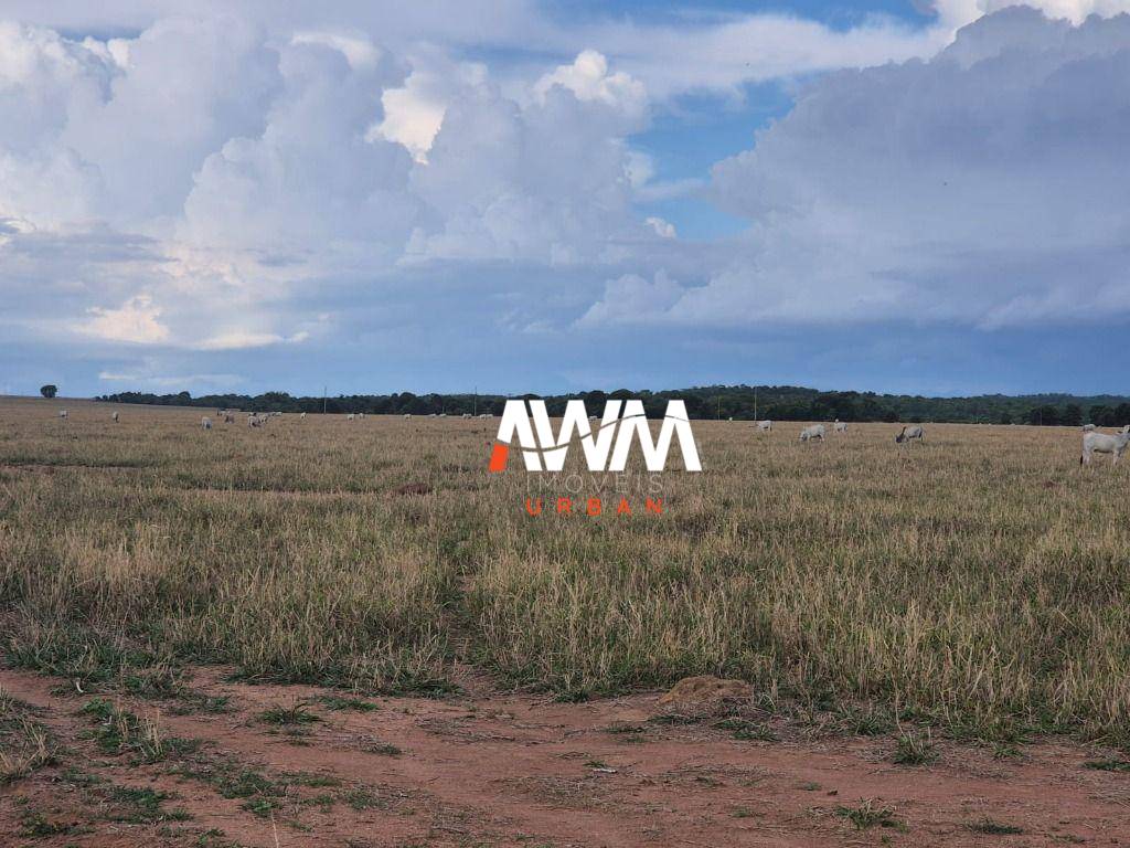 Fazenda, 944 hectares - Foto 2