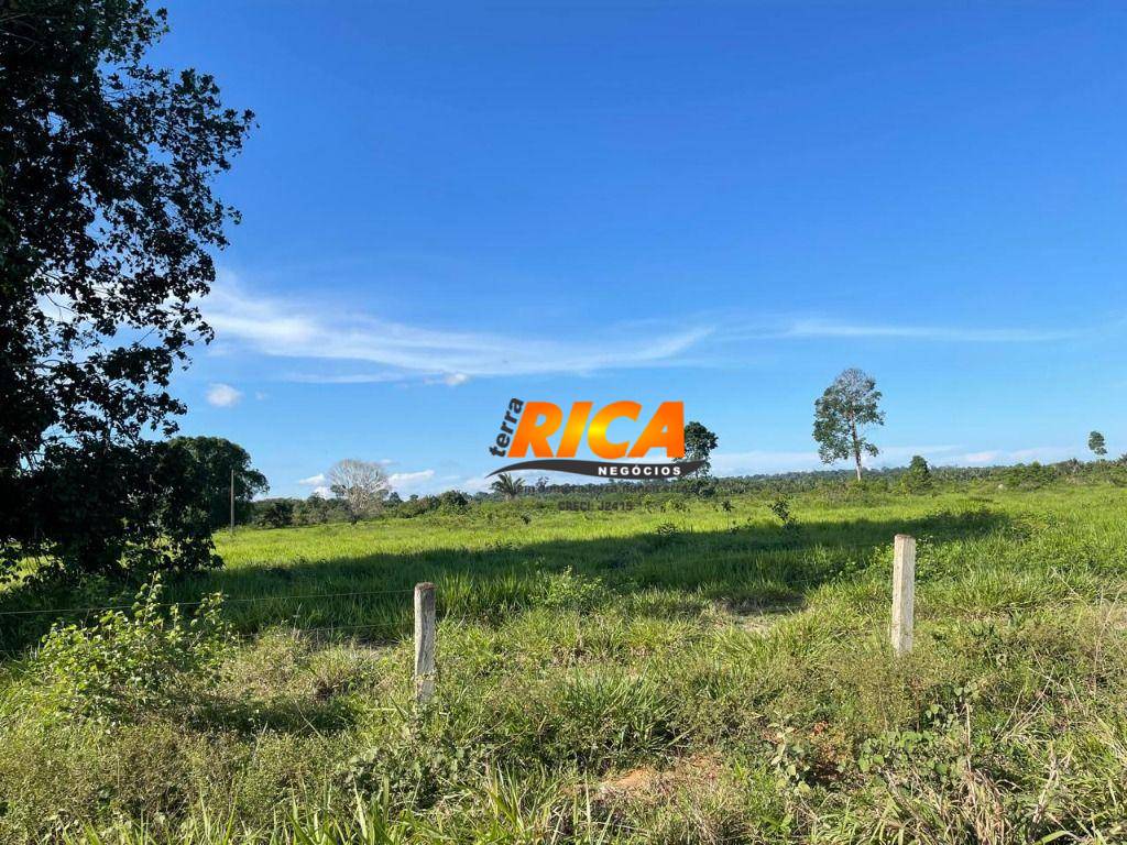 Fazenda, 100 hectares - Foto 2