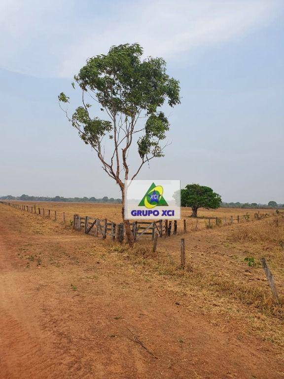 Fazenda à venda, 836000000M2 - Foto 14