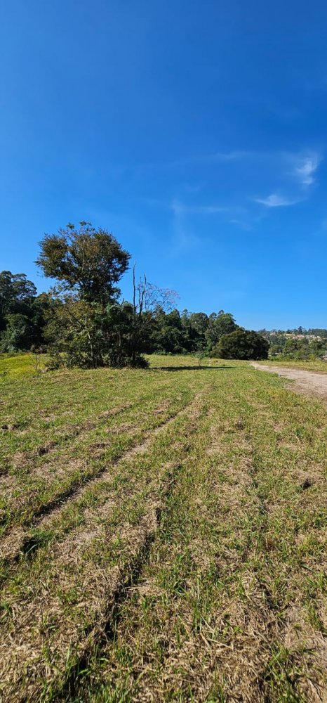 Terreno à venda, 1000m² - Foto 10