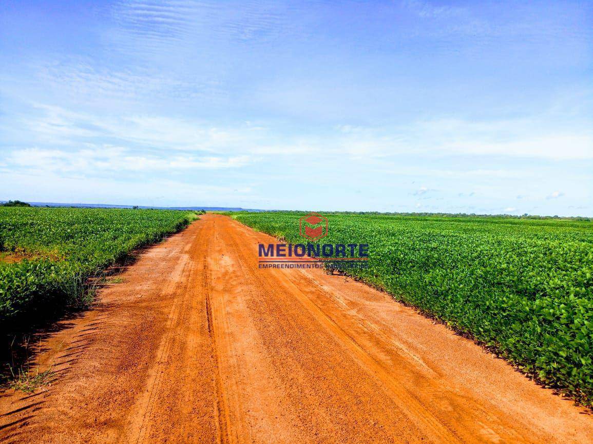 Fazenda-Sítio-Chácara, 3025 hectares - Foto 2