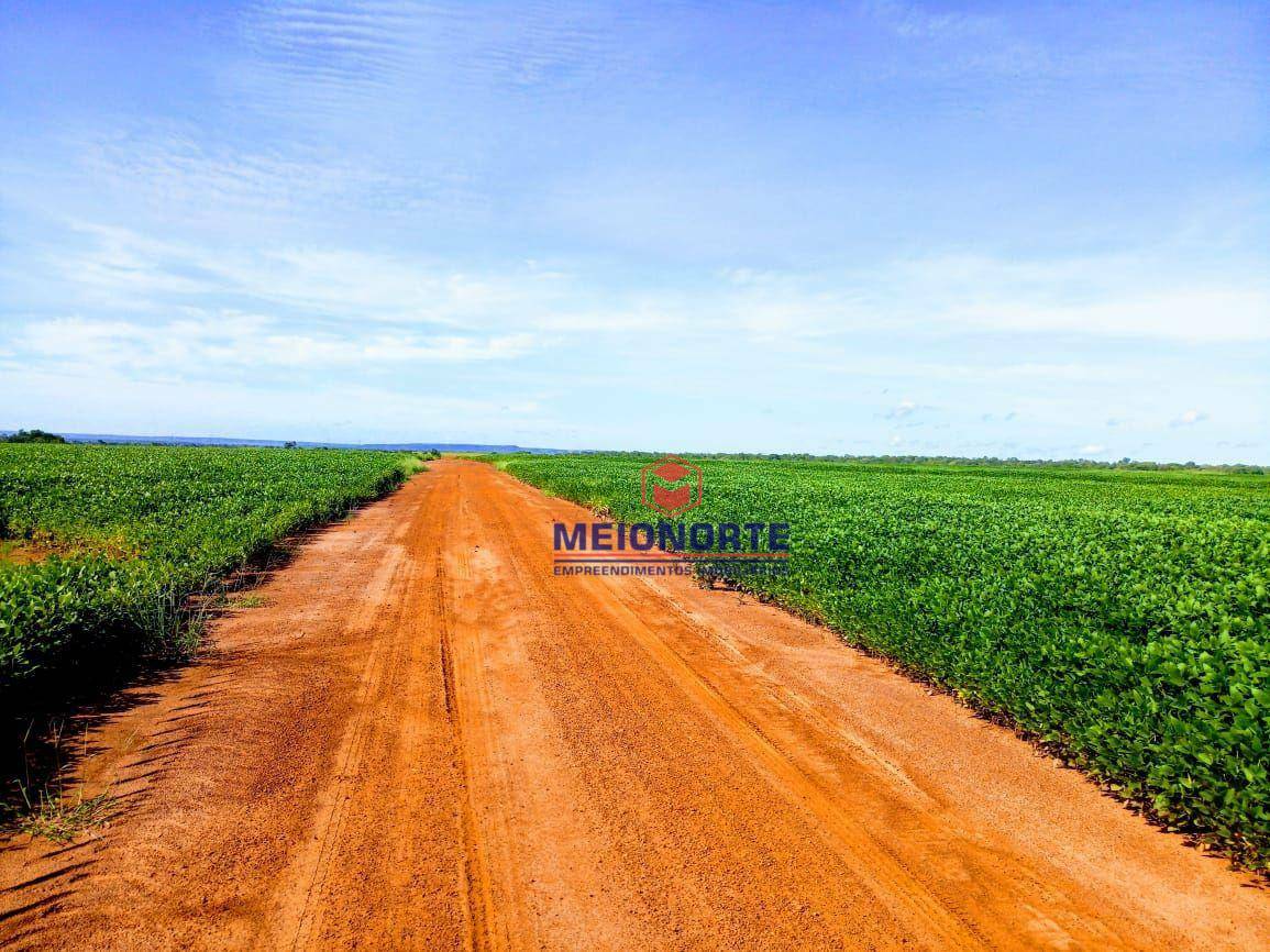 Fazenda à venda com 1 quarto, 30250000M2 - Foto 2