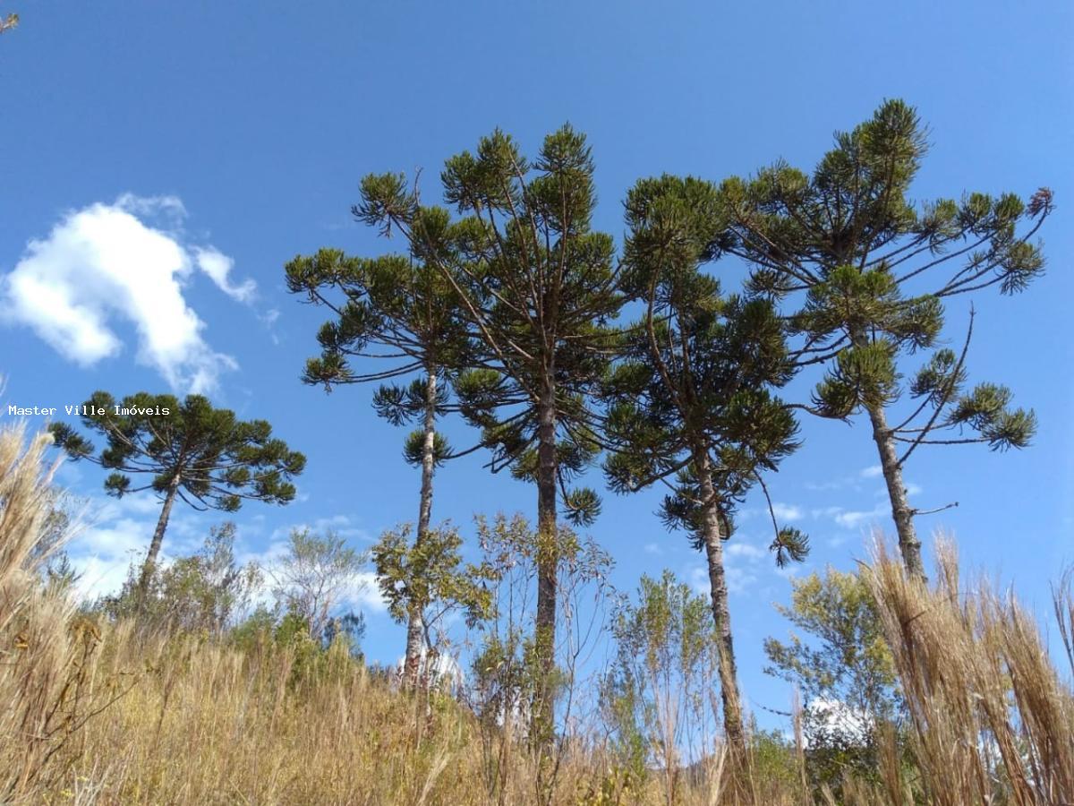 Fazenda à venda, 10m² - Foto 7