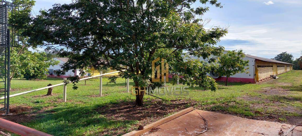 Fazenda-Sítio-Chácara, 6 hectares - Foto 3