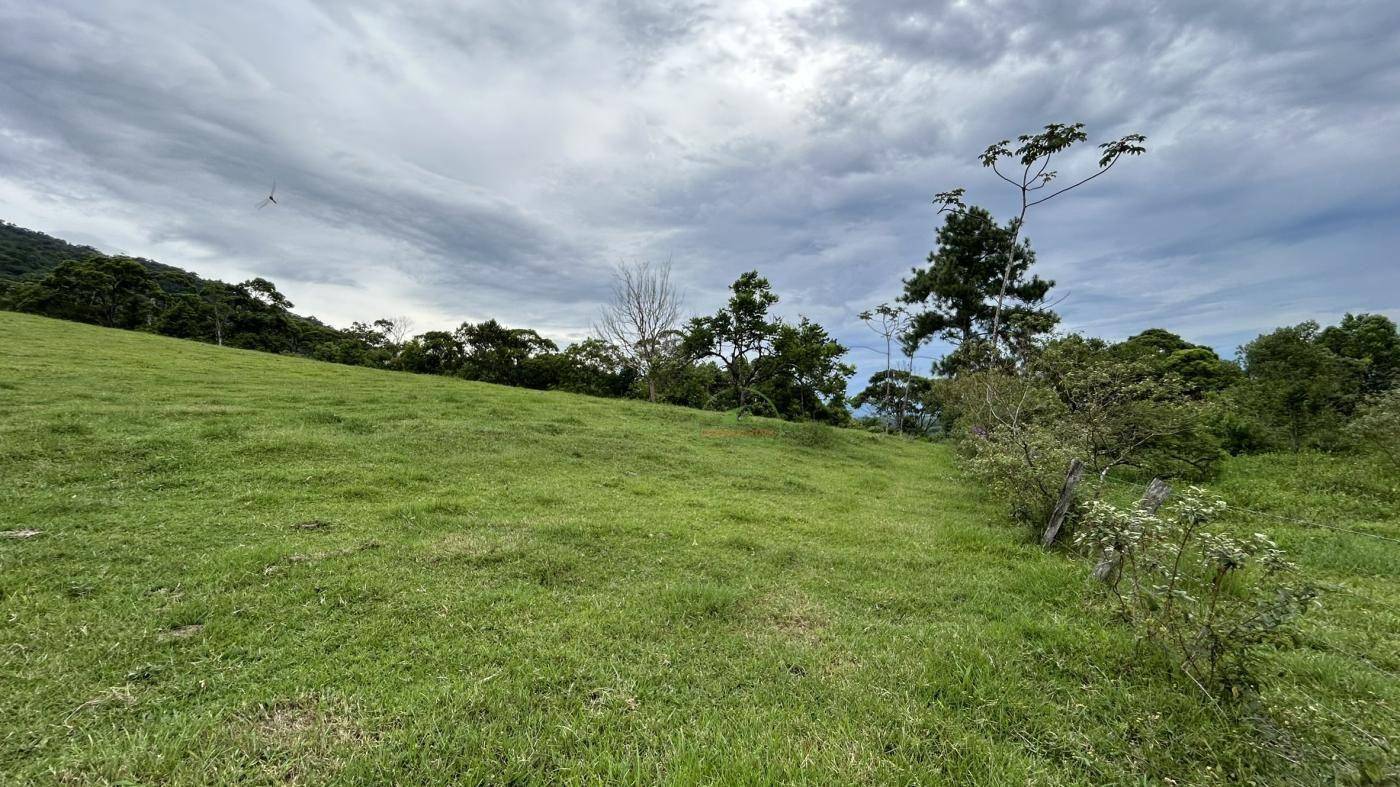 Terreno, 9 hectares - Foto 15