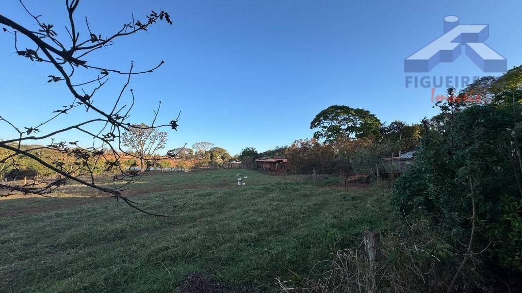 Sítio, 4 hectares - Foto 7