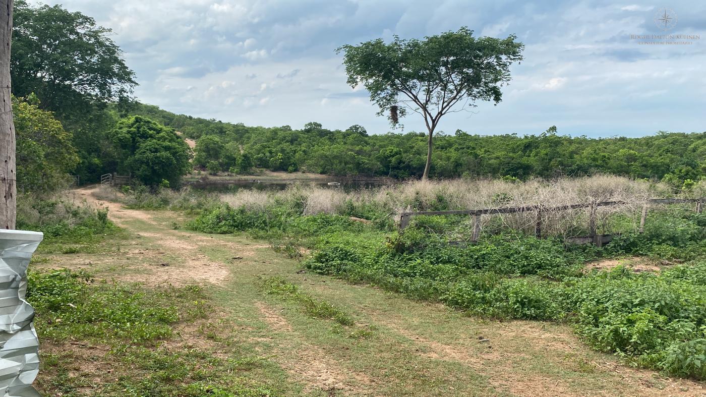 Fazenda-Sítio-Chácara, 580 hectares - Foto 3