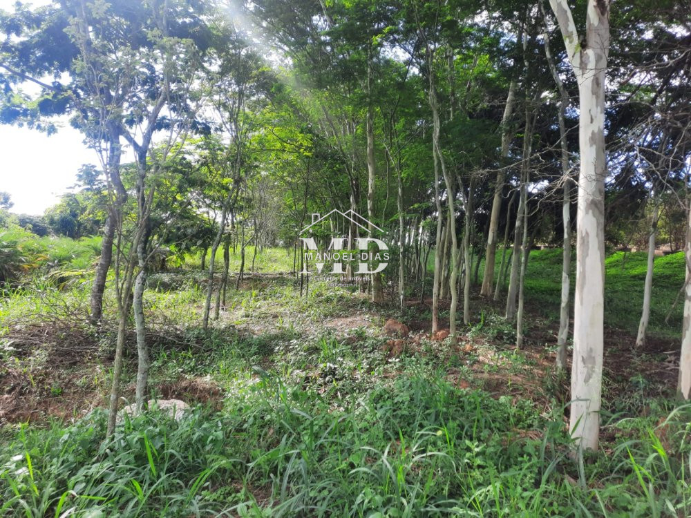 Fazenda à venda, 25068m² - Foto 11