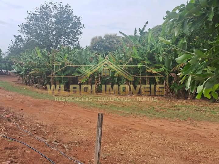 Sítio à venda, 100000m² - Foto 2