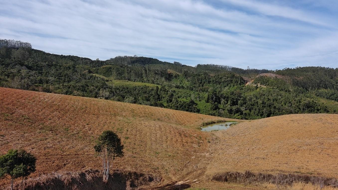 Fazenda à venda com 3 quartos, 260000m² - Foto 36